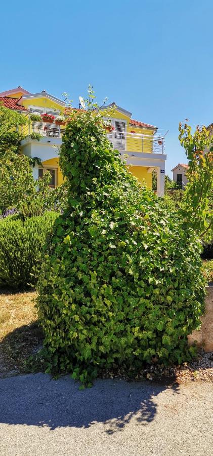 Andela Home - Krka Waterfalls Lozovac Ngoại thất bức ảnh