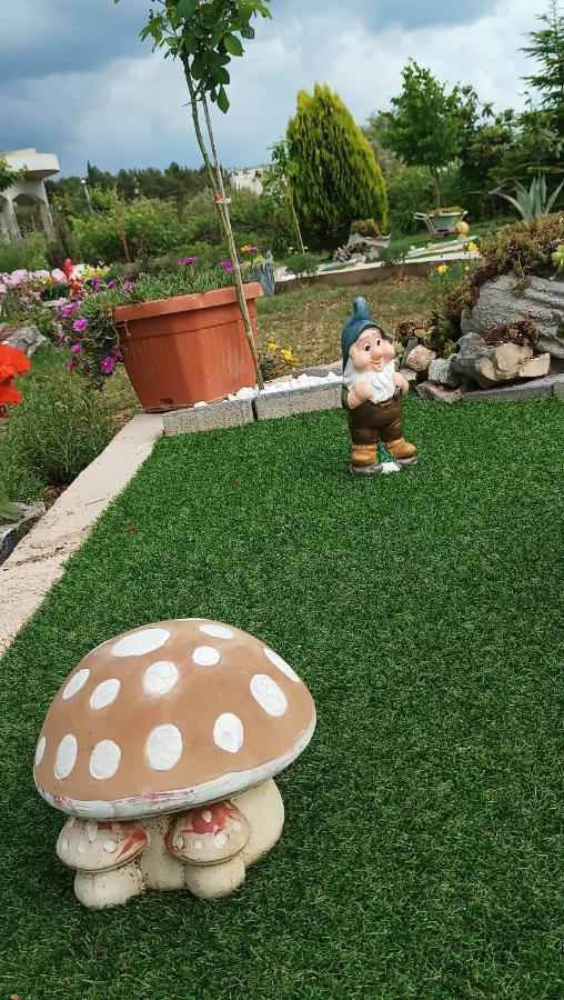 Andela Home - Krka Waterfalls Lozovac Ngoại thất bức ảnh
